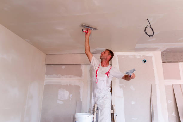 Best Stucco Painting  in USA